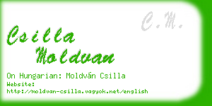 csilla moldvan business card
